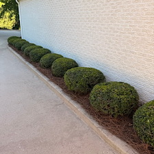 Commercial-Shrub-Trimming-And-Bed-Maintenance-In-Oxford-MS 3